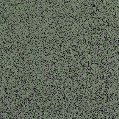 FRSL96244