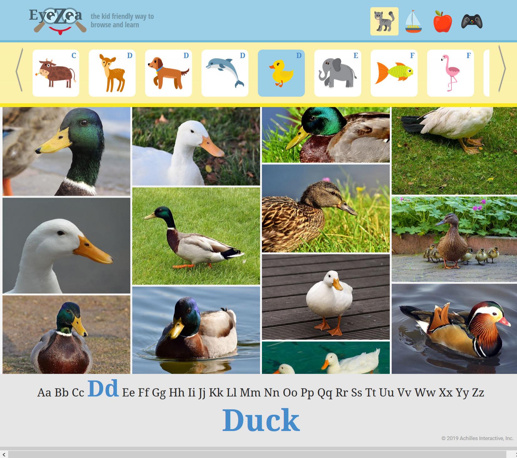 screen eyezea search