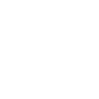 icn search